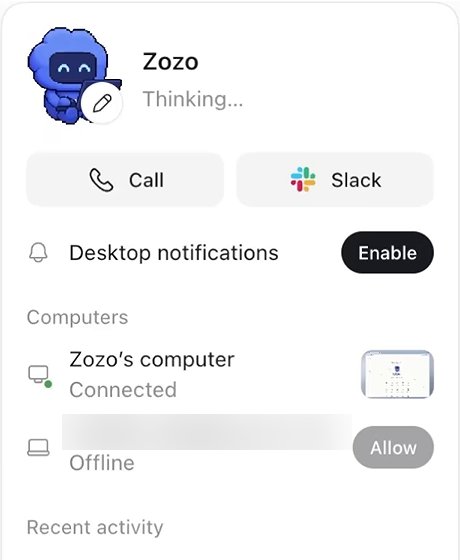 A dot's profile. Under Computers, the dot's own computer reads Connected. The second row reads Offline and its Allow button is greyed out