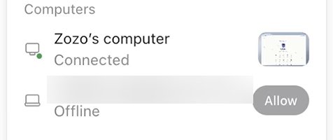 The Computers list in a dot's profile. The dot's own computer reads Connected. The owner's laptop, its name blurred, reads Offline, with a greyed Allow button