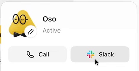 The top of a dot's profile: its picture, the name Oso, the status Active, and two buttons, Call and Slack